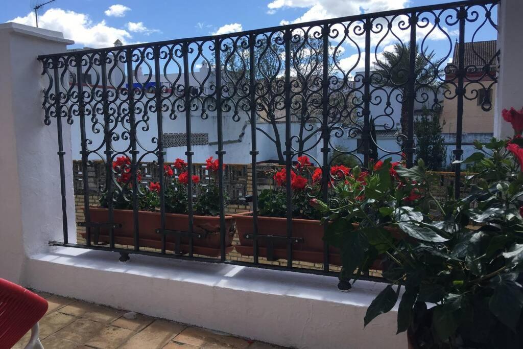 Villa Geranium House Siviglia Esterno foto